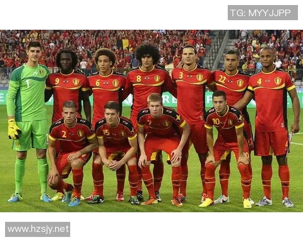 埃及与比利时足球阵容对比分析及比赛前瞻