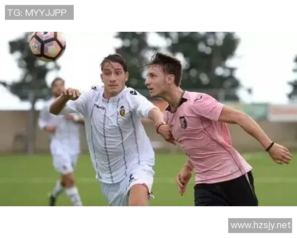 巴勒莫与都灵对决分析球队状态战术特点及历史交锋记录