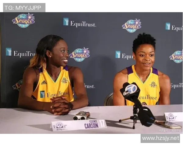 芝加哥天空与狂热对决前瞻分析及胜负预测解析