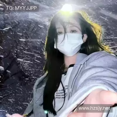 嵇蒙飚