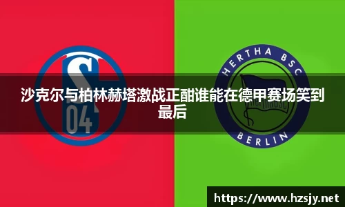 XC体育手机下载