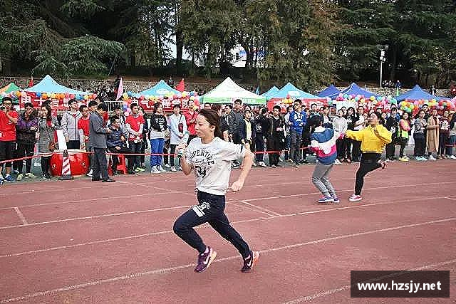 关于XC体育网址